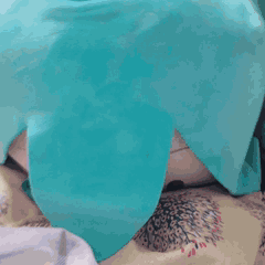 036.gif